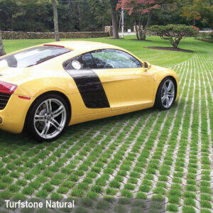 Turfstone