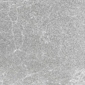 Aria Gray Marble