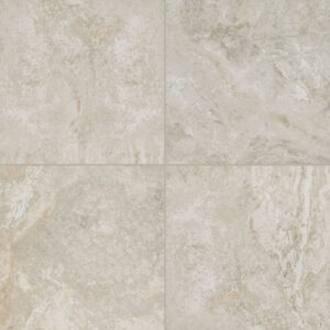 Trevi Silver